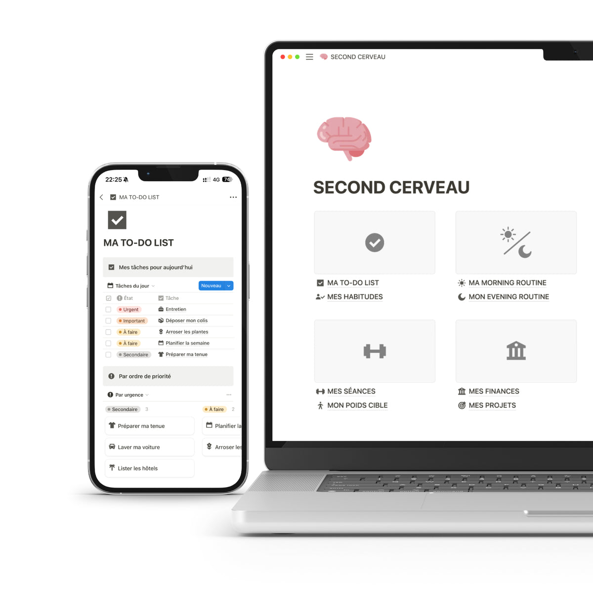 second cerveau notion
